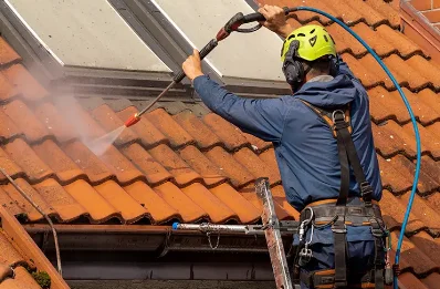 Démoussage et hydrofuge de toiture à Draché